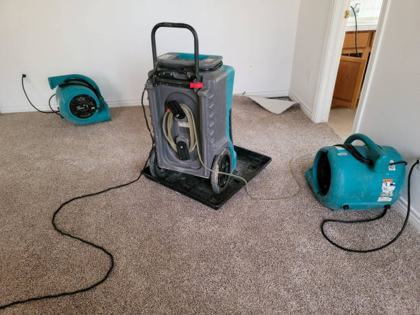 Best Water damage restoration near me  in Elko New Market, MN