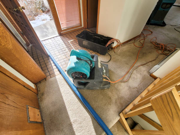 Best Emergency water damage restoration  in Elko New Market, MN
