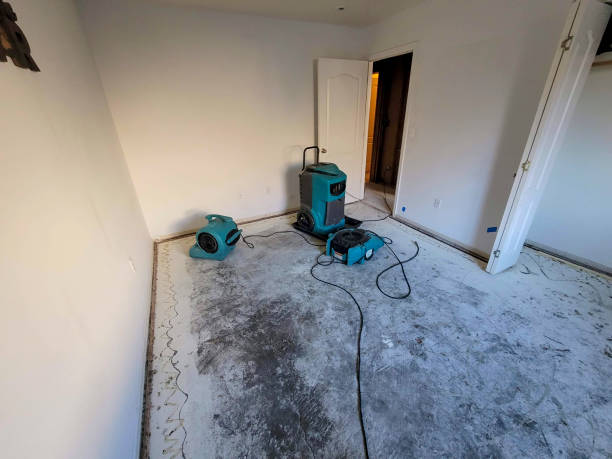 Best Flooded house restoration  in Elko New Market, MN