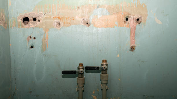 Reliable Elko New Market, MN Water damage restoration Solutions