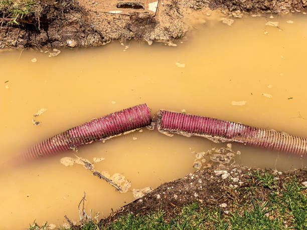Best Local water damage restoration  in Elko New Market, MN